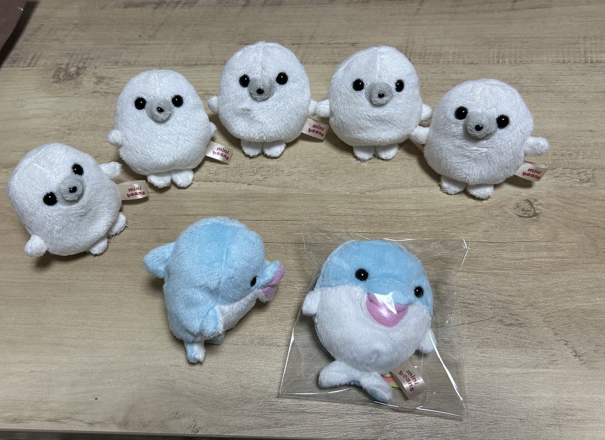 まめ子 tweet media