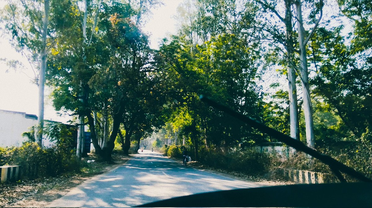 Md Junaid Rub tweet media