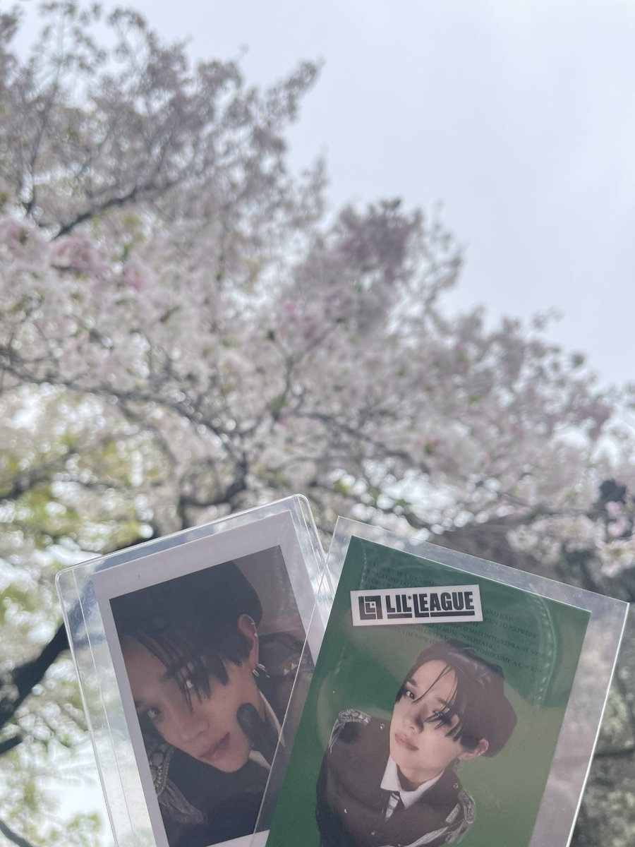 りさぴ tweet media