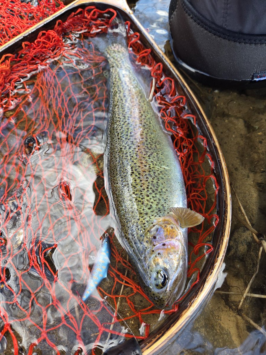 道東釣り太郎フィッシング tweet media