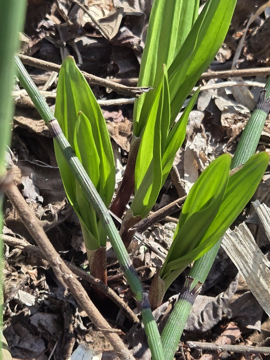 道東釣り太郎フィッシング tweet media