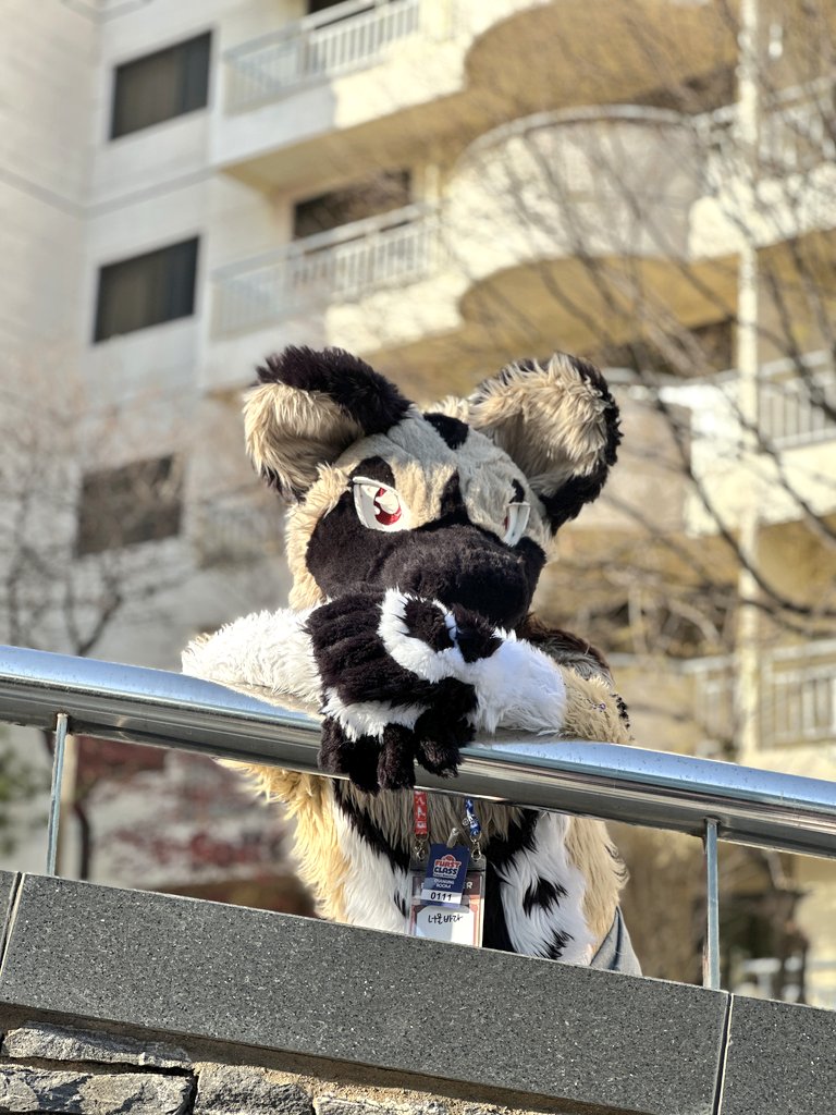 너울바다(けもケットI-38) tweet media