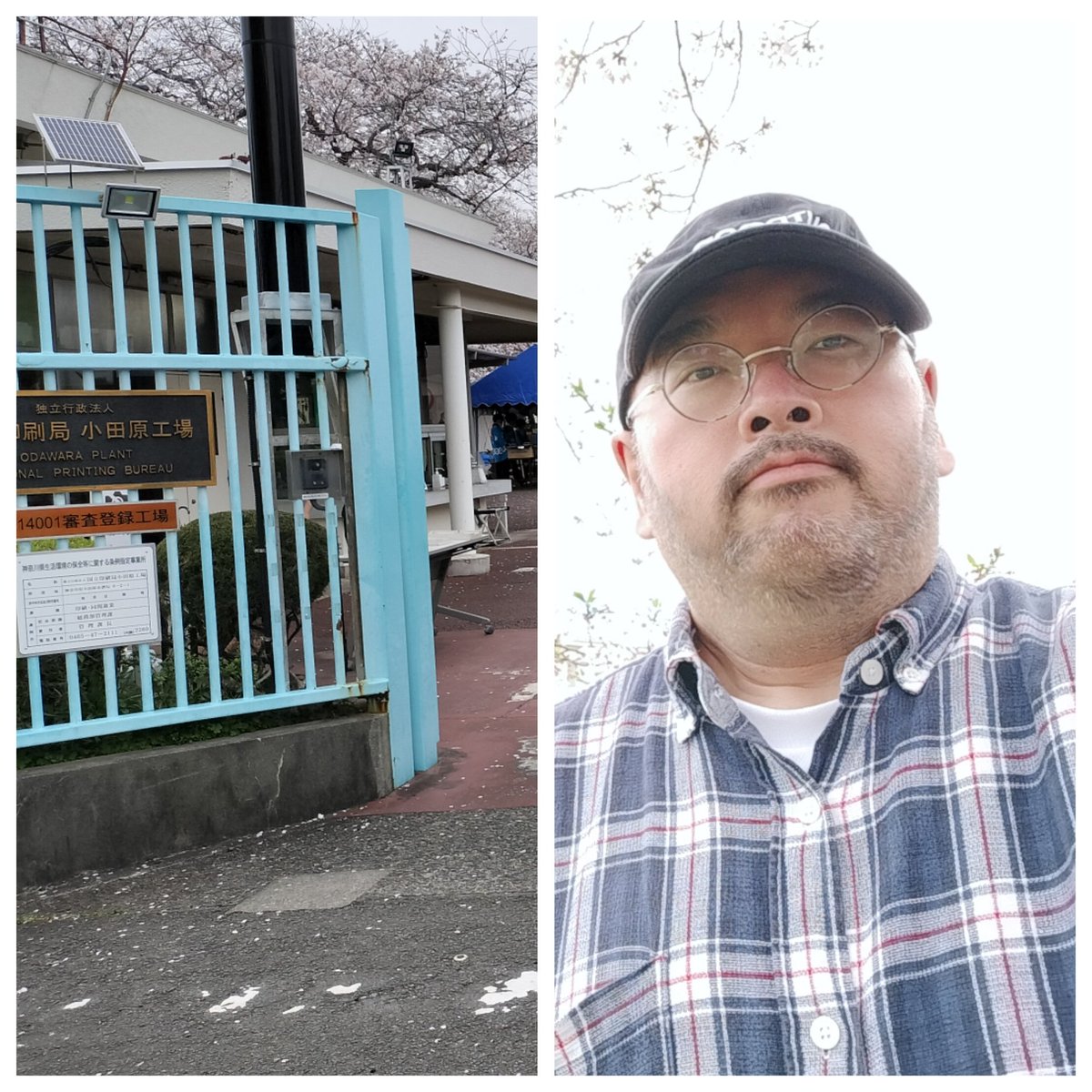 まさびっちⅱ tweet media