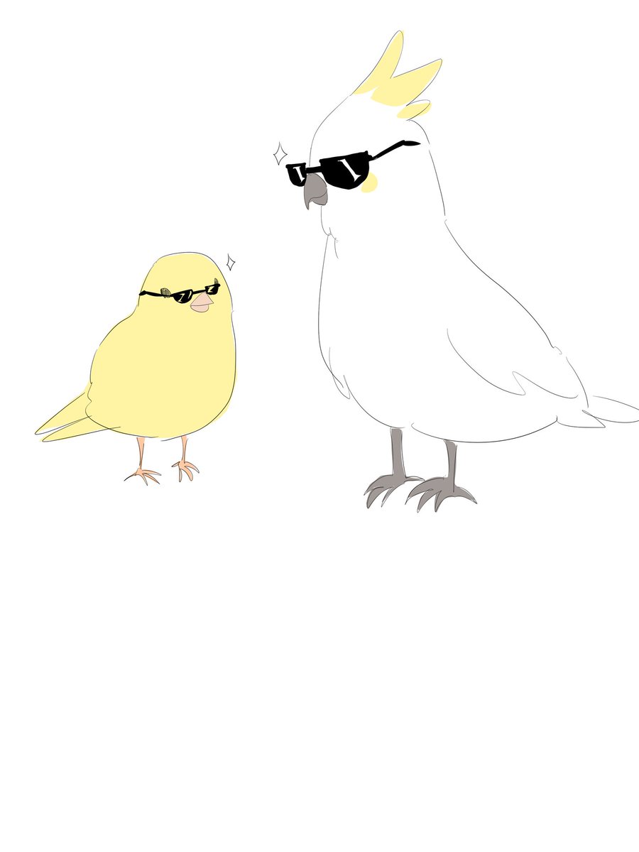 B tweet media