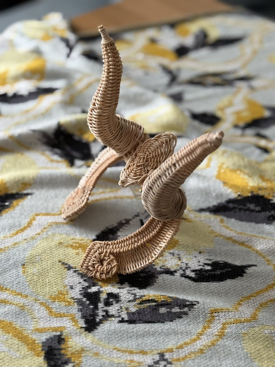 𓏸𓈒𓂃しのぼん𓍯ラタン編み𓂃𓈒𓏸 tweet media