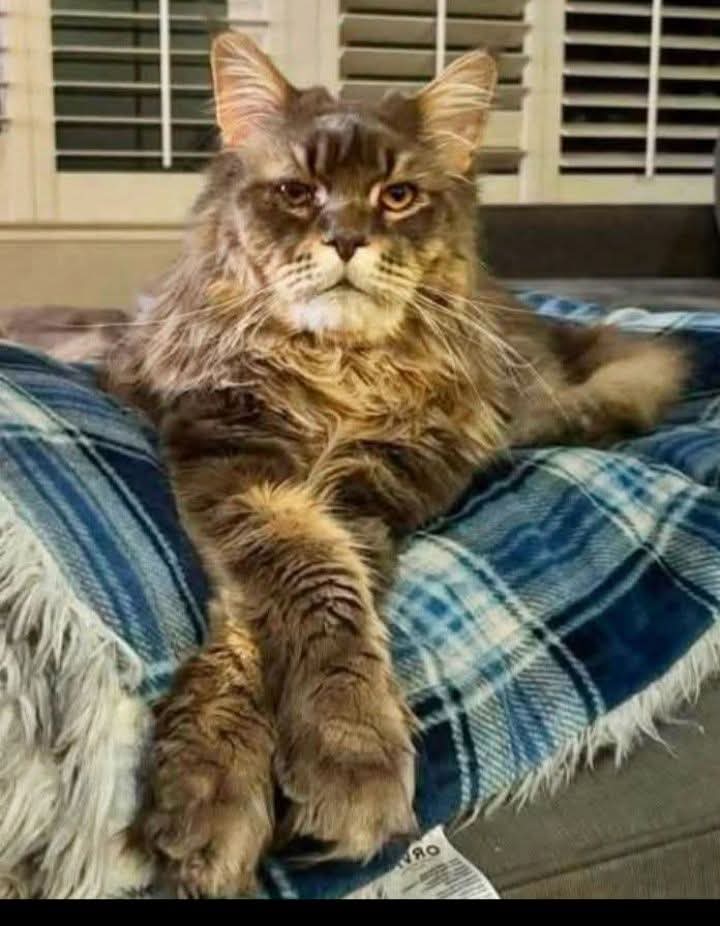 Mary 🕊️ tweet media