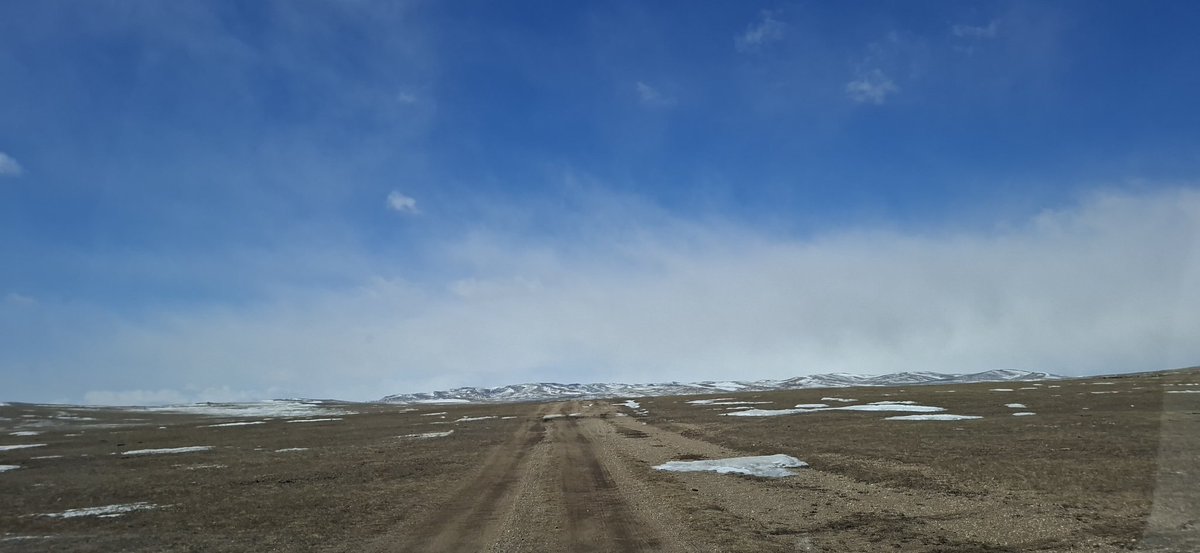 НЯМАА🇲🇳 tweet media