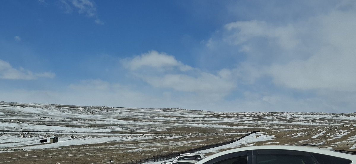 НЯМАА🇲🇳 tweet media