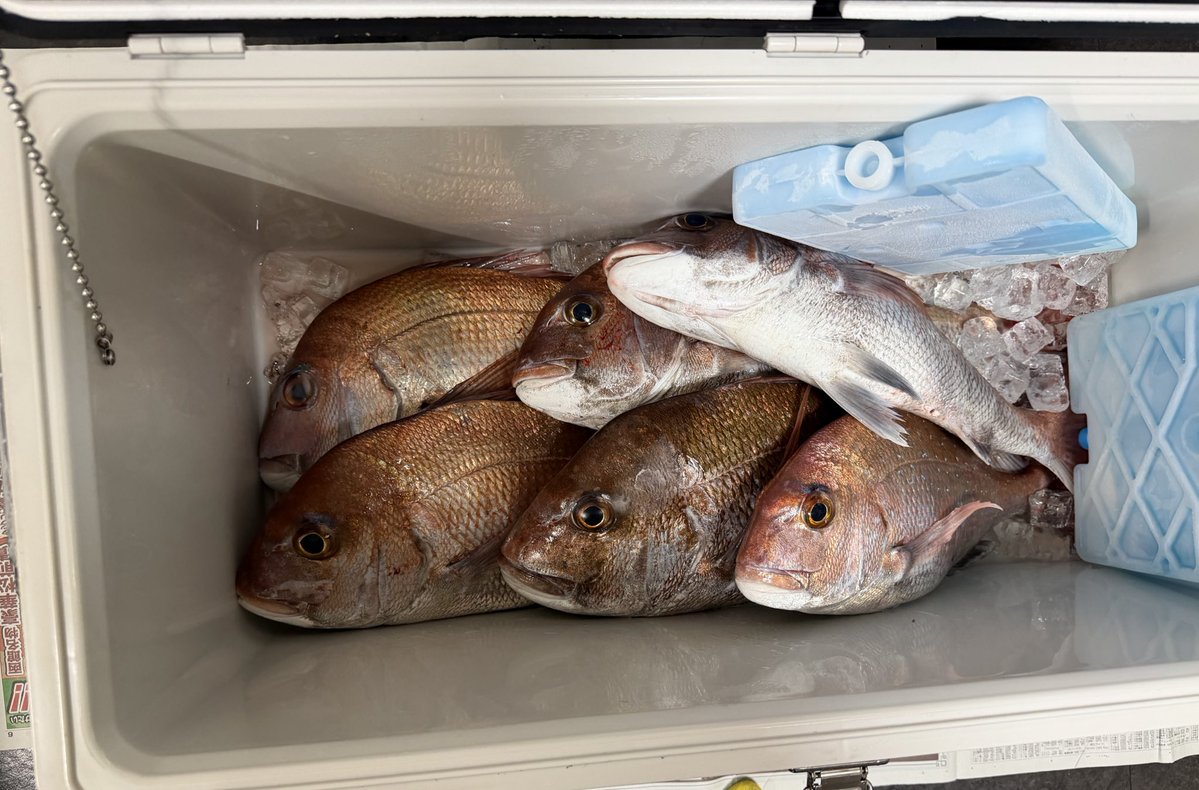 カイン-Kain tweet media