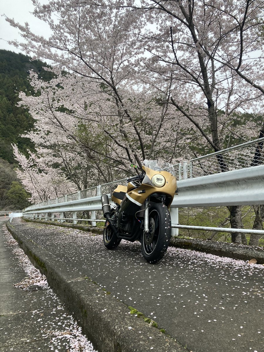 夢走赦のヨネ tweet media