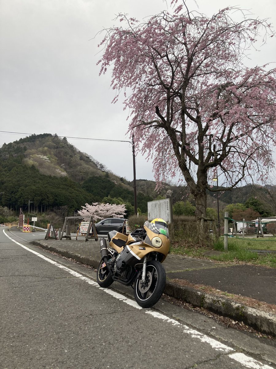 夢走赦のヨネ tweet media