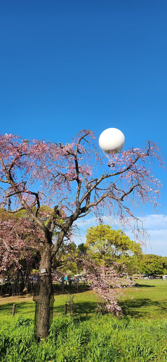 ふんばりDeveloper｜ムダ買い+買い忘れ防止アプリ制作 tweet media