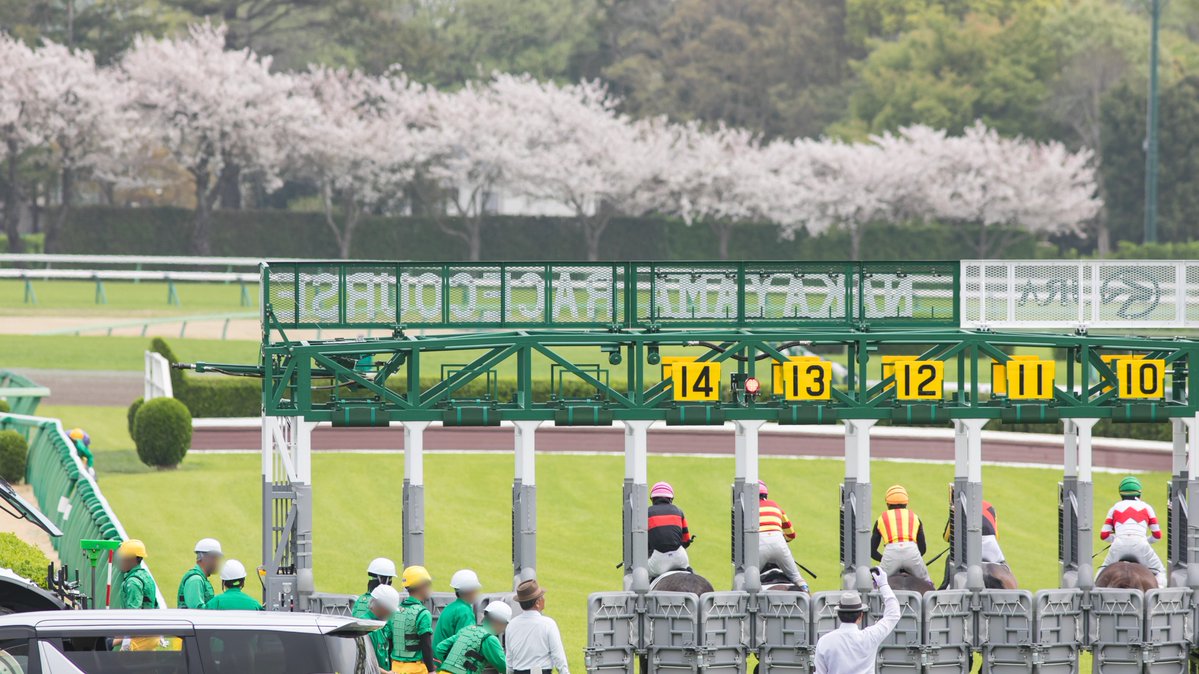 ライシャワー tweet media