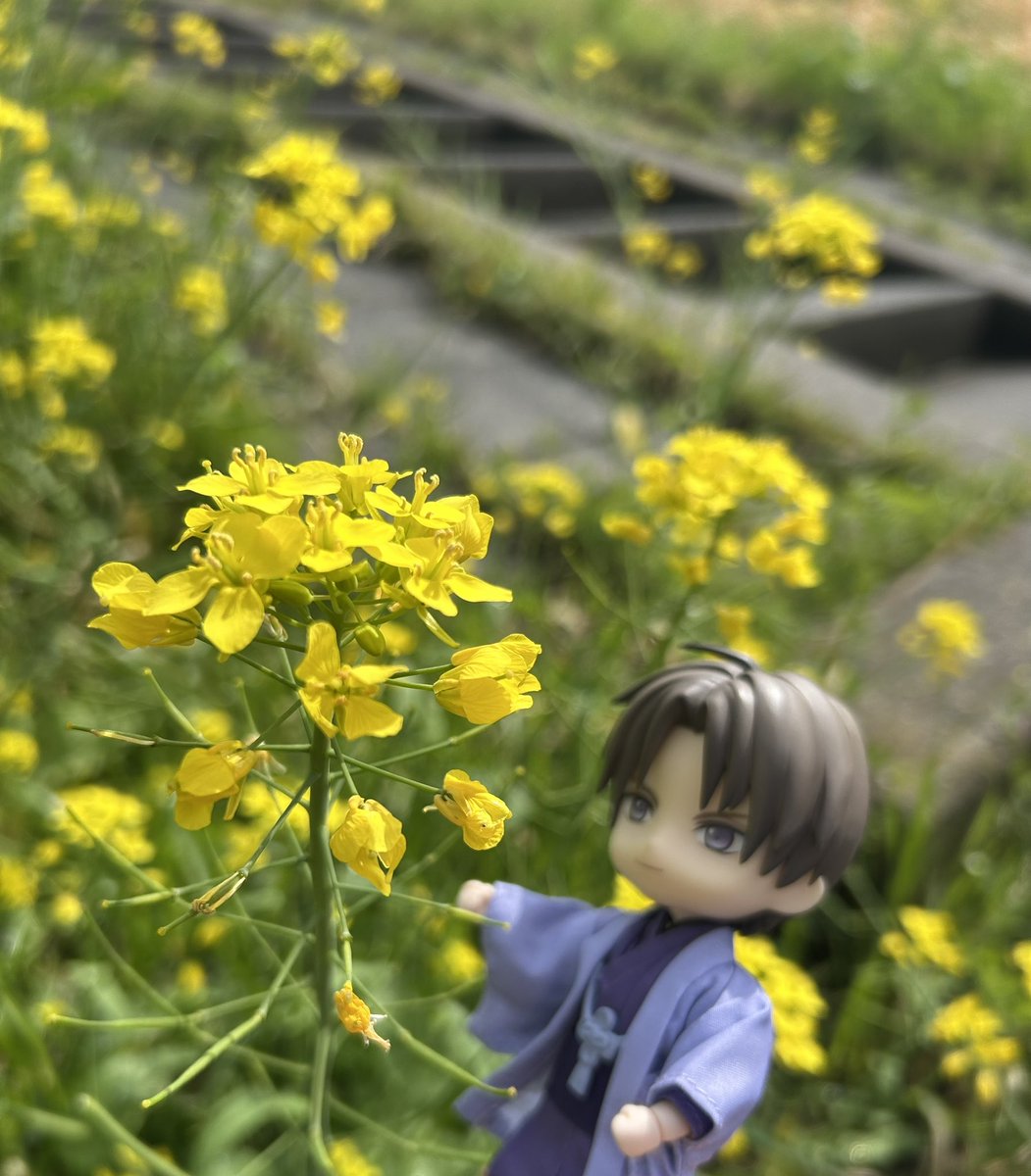 いず@低浮上 tweet media