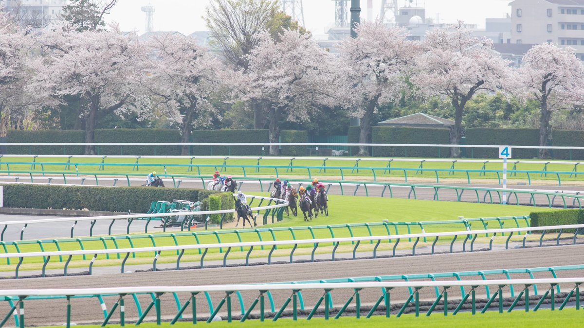 ライシャワー tweet media