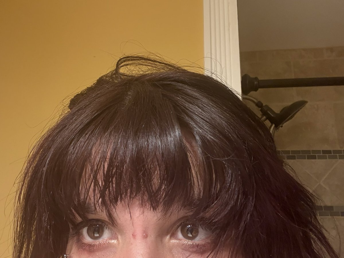 SnakeOrg tweet media