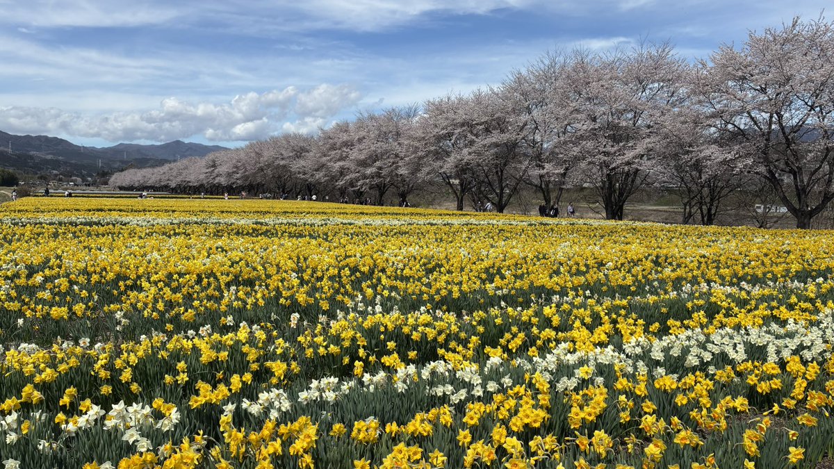 東西南北、 tweet media