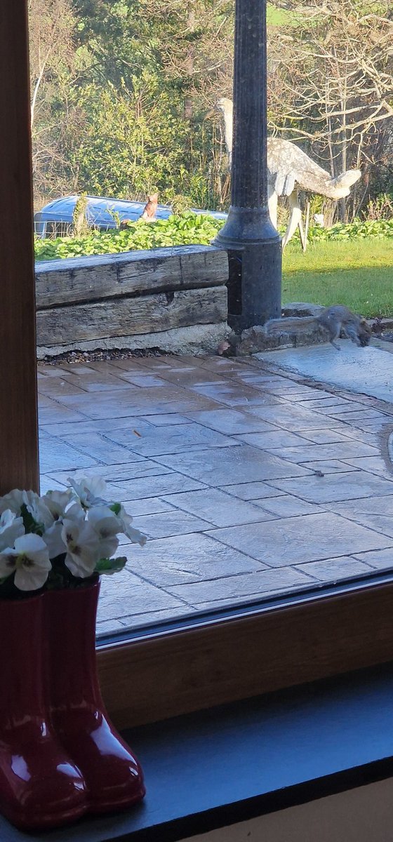 CraigHughesUpholstery tweet media