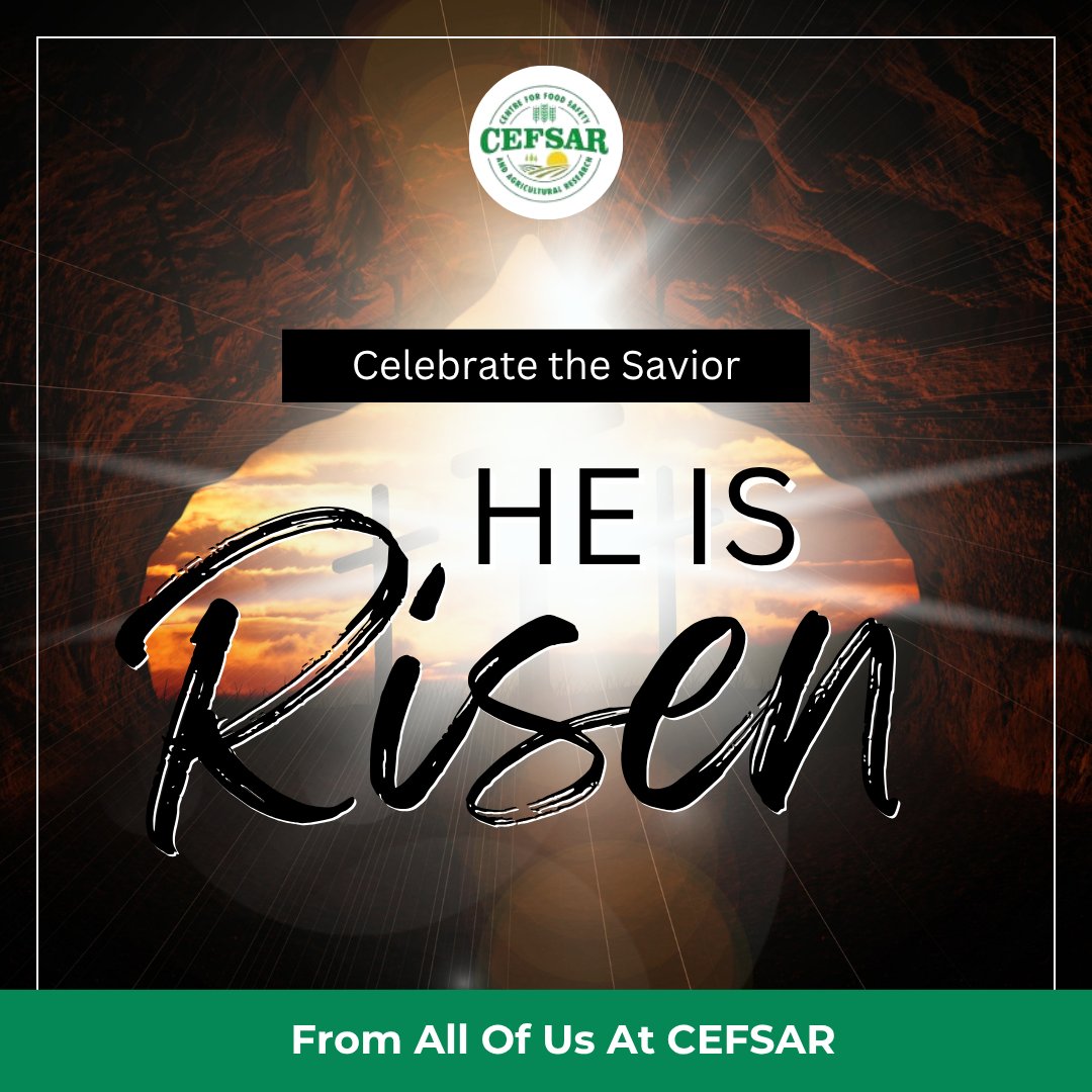 cefsarintl's tweet photo. Happy Easter as we celebrate the resurrection of Jesus Christ, a powerful symbol of hope, renewal, and new beginnings for humanity.
This season reminds us of our shared responsibility to protect and restore our food and health for future generations.
#cefsar #happyeaster #gmo https://t.co/4aATHbDfU1