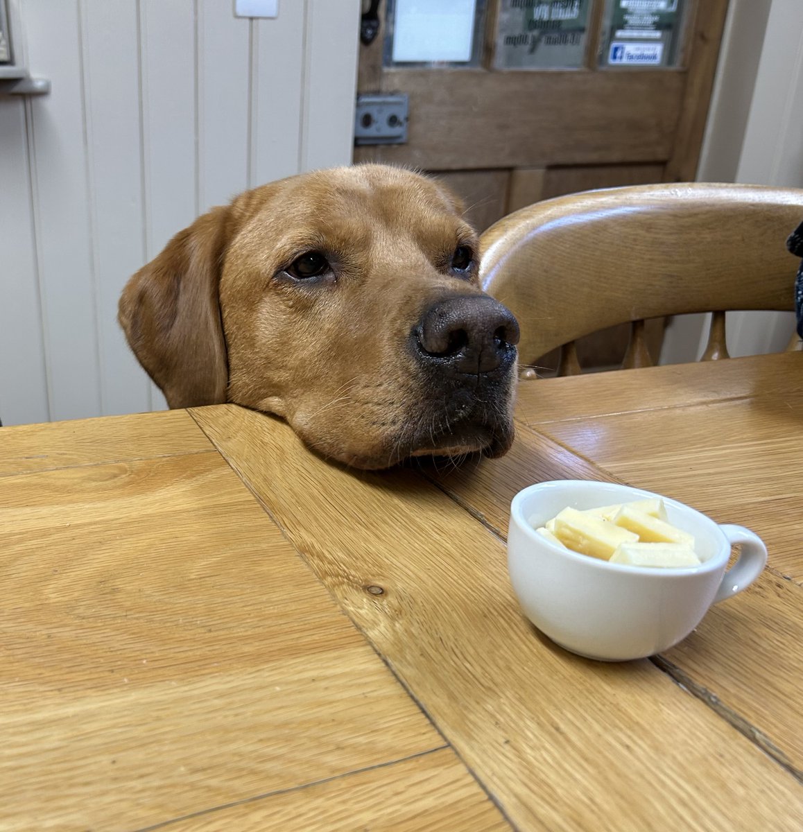 Gunnar_of the West tweet media