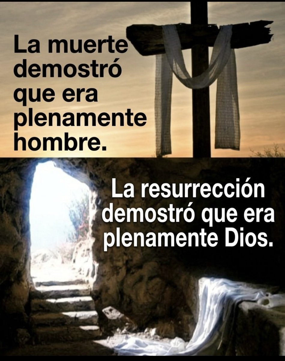 Maria Rosario Tamarit Mauricio tweet media