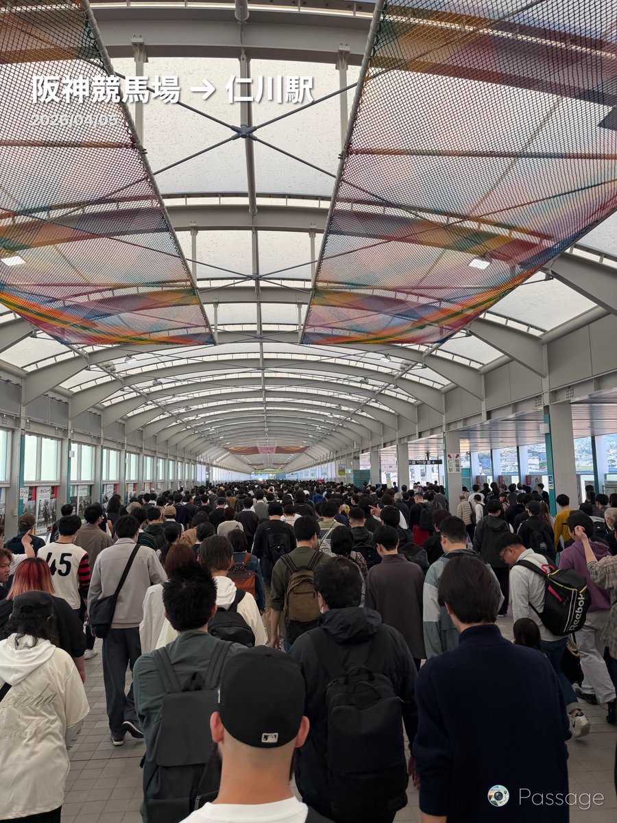 ぽるんが tweet media