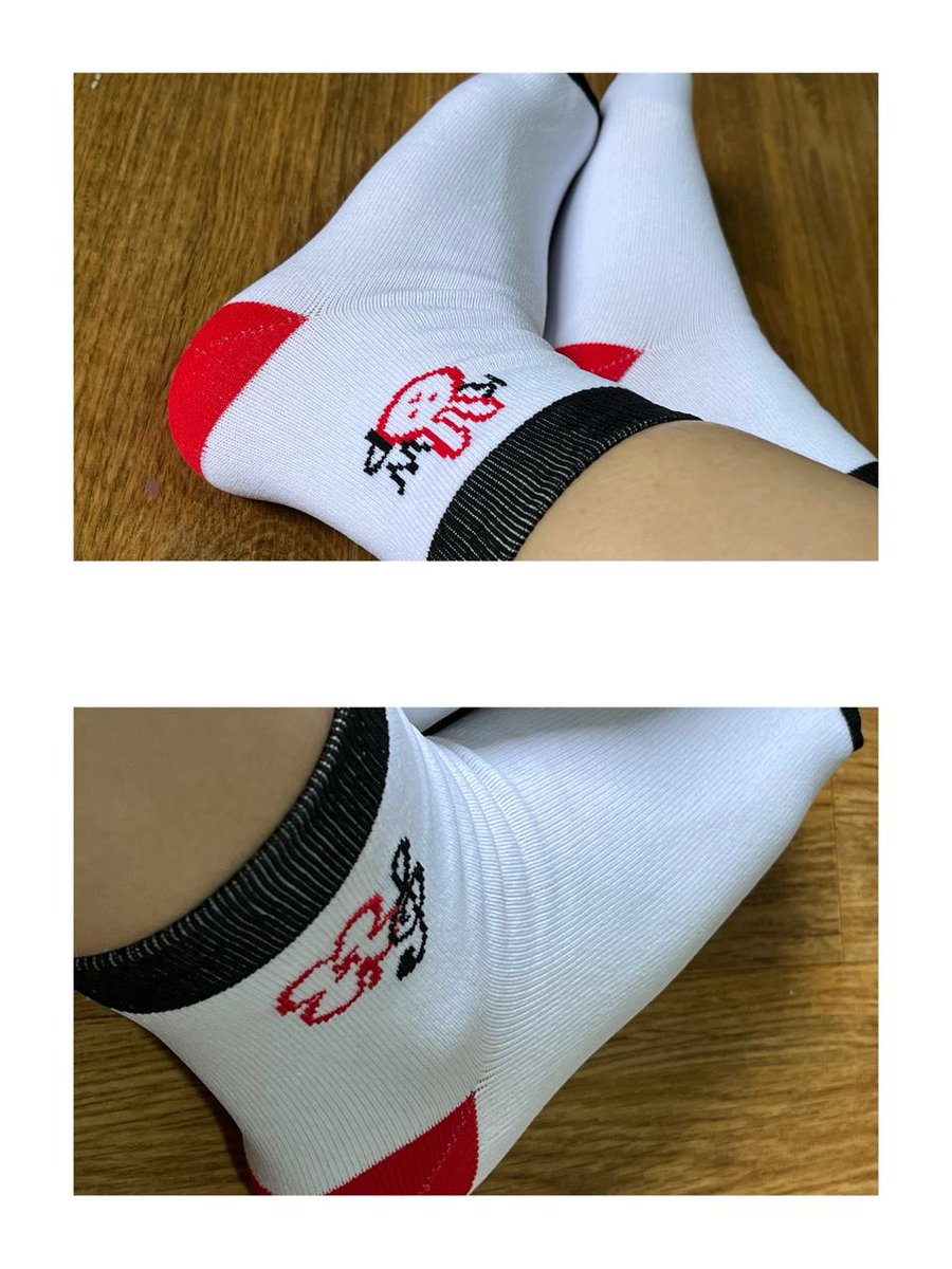 Nollae Box tweet media