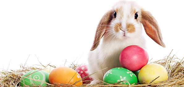 Triaster's tweet photo. Happy Easter from all of us at Triaster! https://t.co/K0muBkLiIU