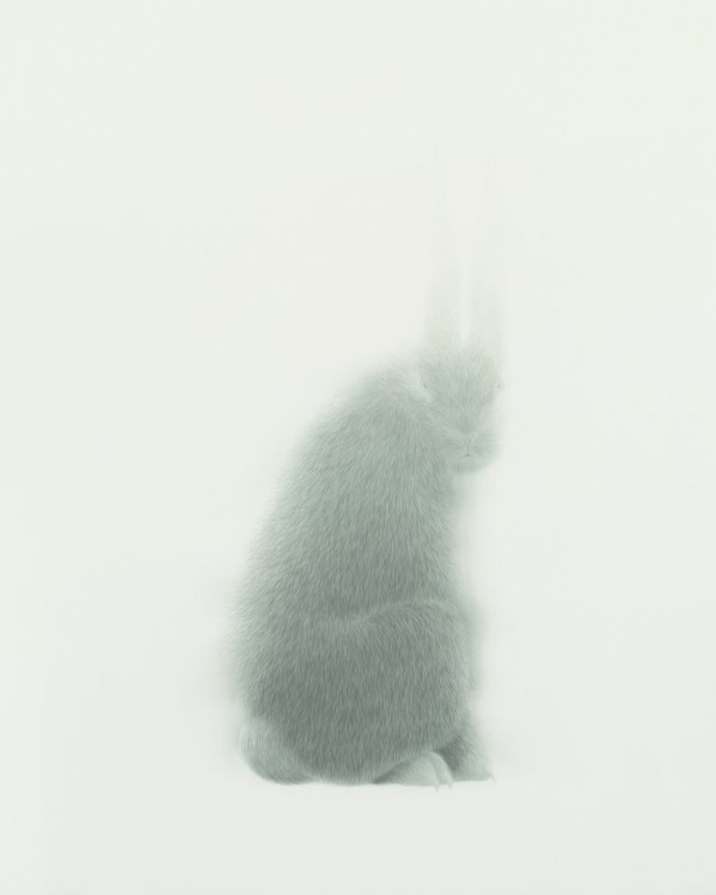 Art Basel tweet media