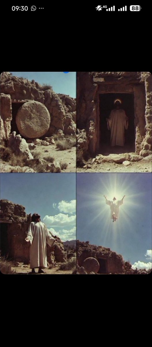 Sir P (DVM,Nig.) tweet media