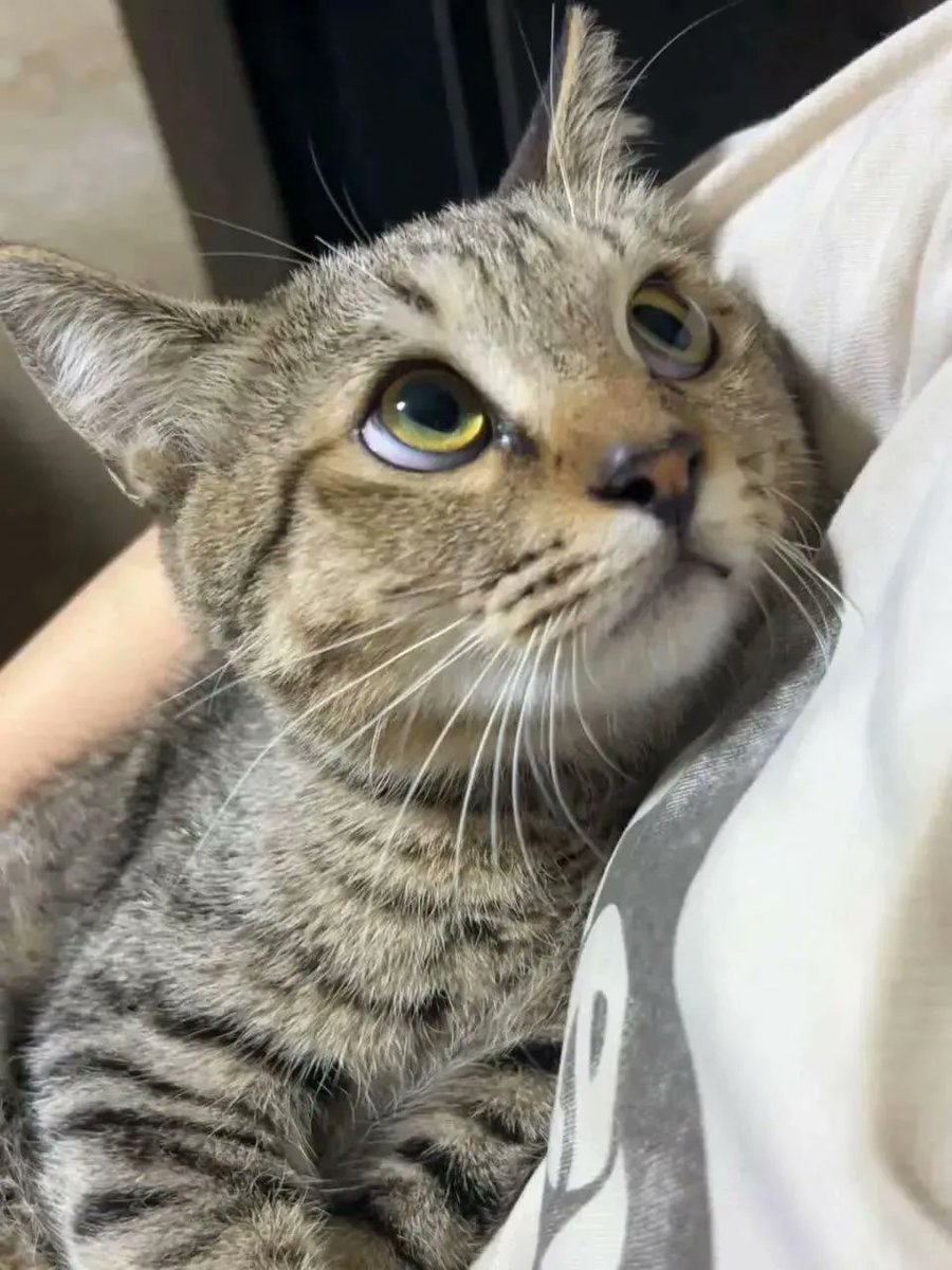 Mary 🕊️ tweet media