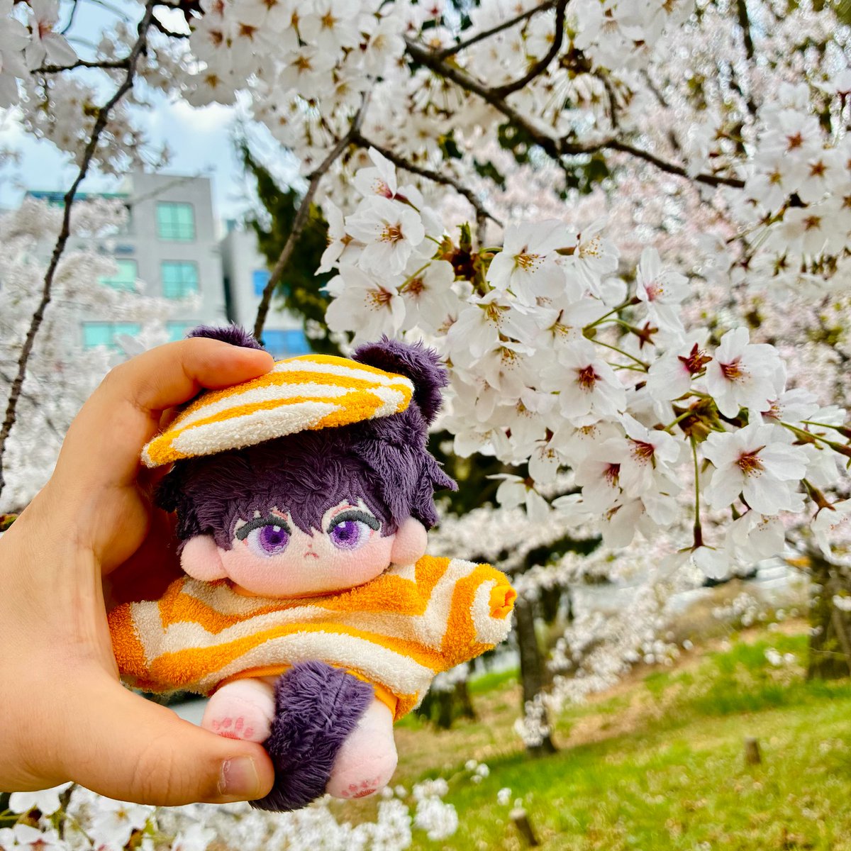 #베베인형공장 #베베와_벚꽃놀이를

아가 강쥐와 함께🌸