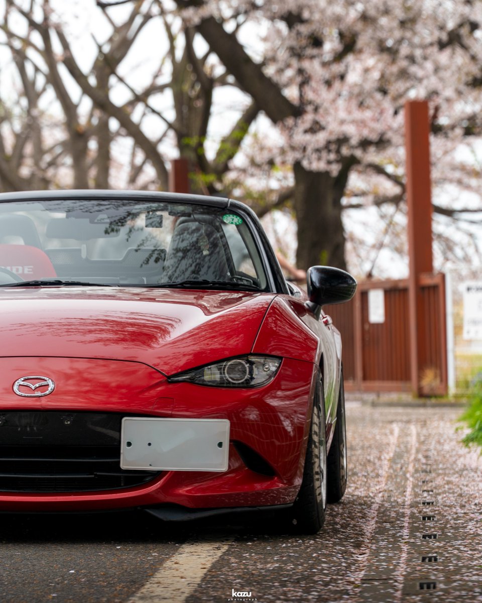 ｶｽﾞﾏ tweet media