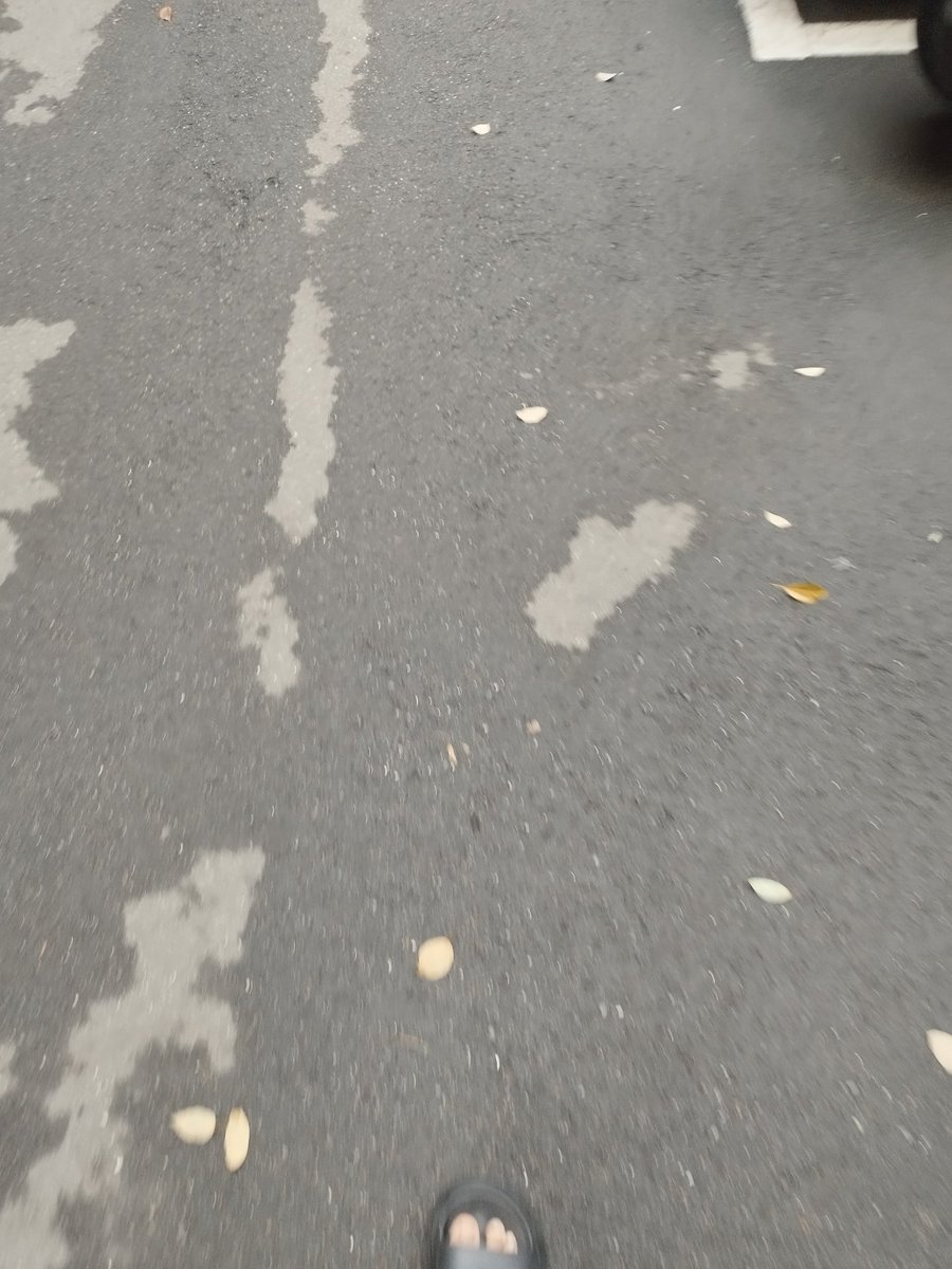 onlyme#𝕋𝕒𝕤𝕥𝕖𝟙𝕤𝕥🫑🐯🐻🐶(rest) tweet media