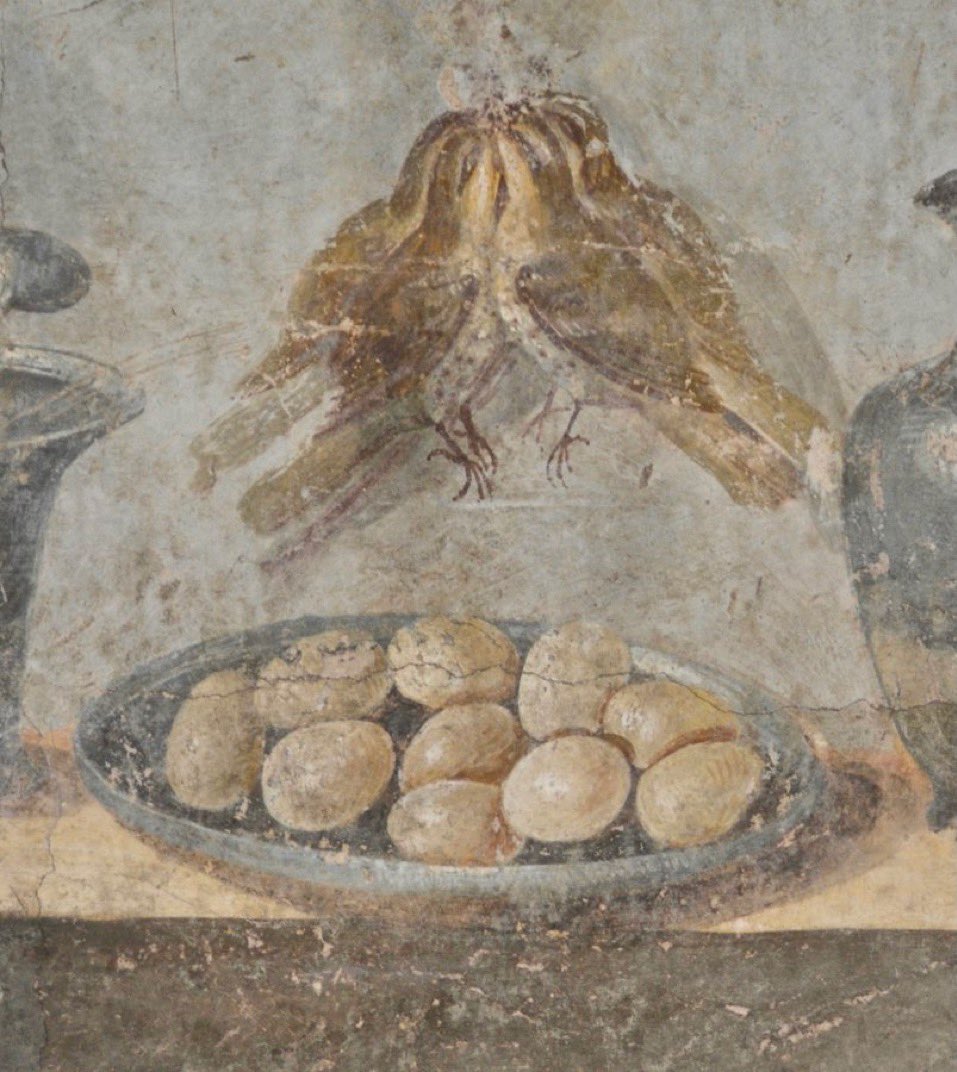 Dr Sophie Hay tweet media