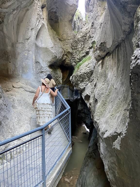 Yendo por la vida tweet media