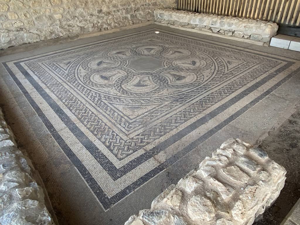 Yendo por la vida tweet media