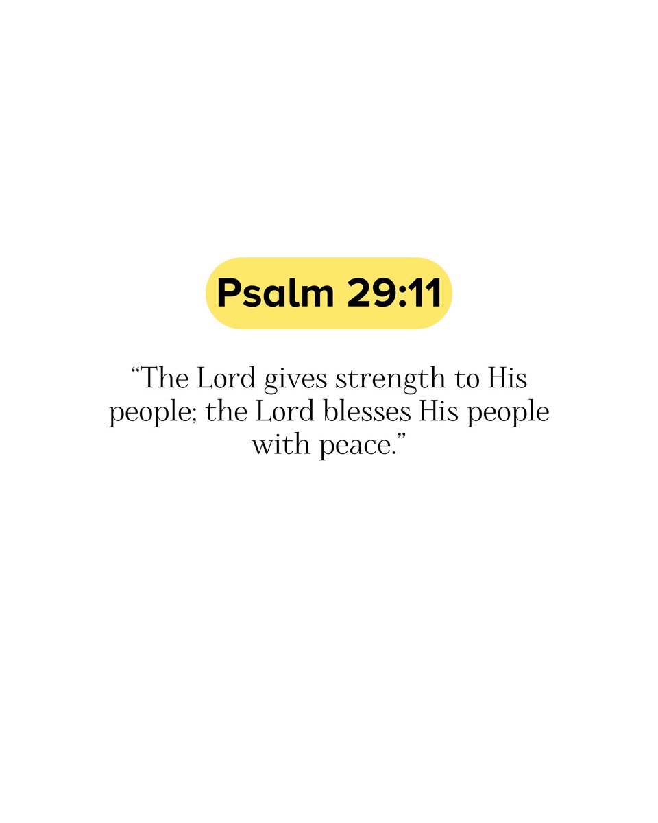 Holy Bible tweet media