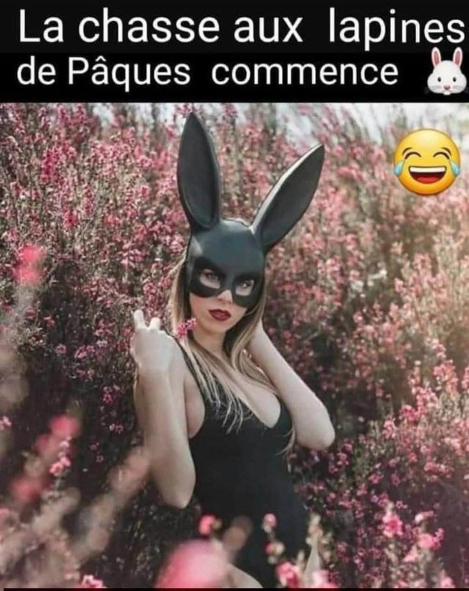 MDboys95 tweet media