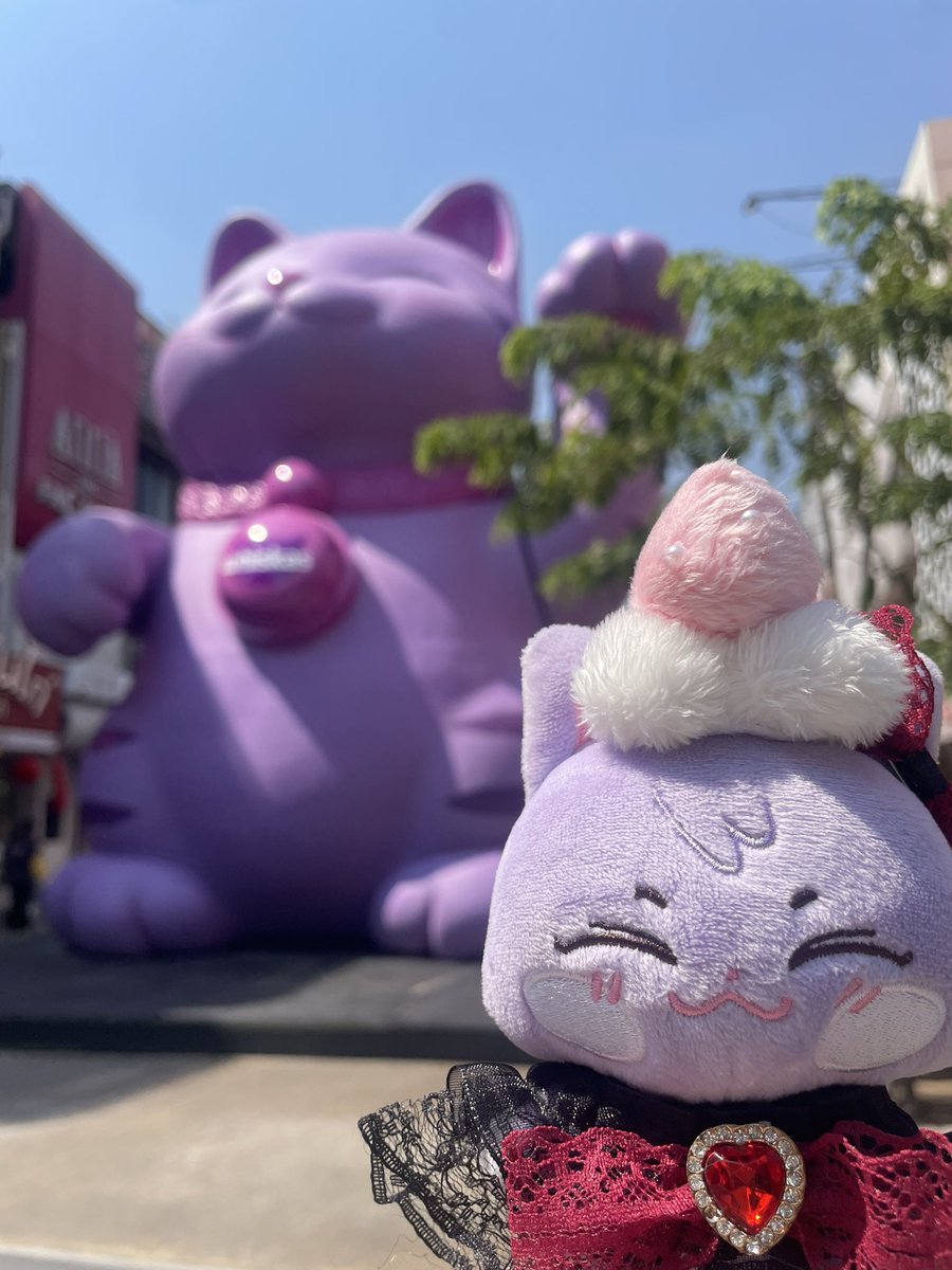 dิน🏴‍☠️ tweet media