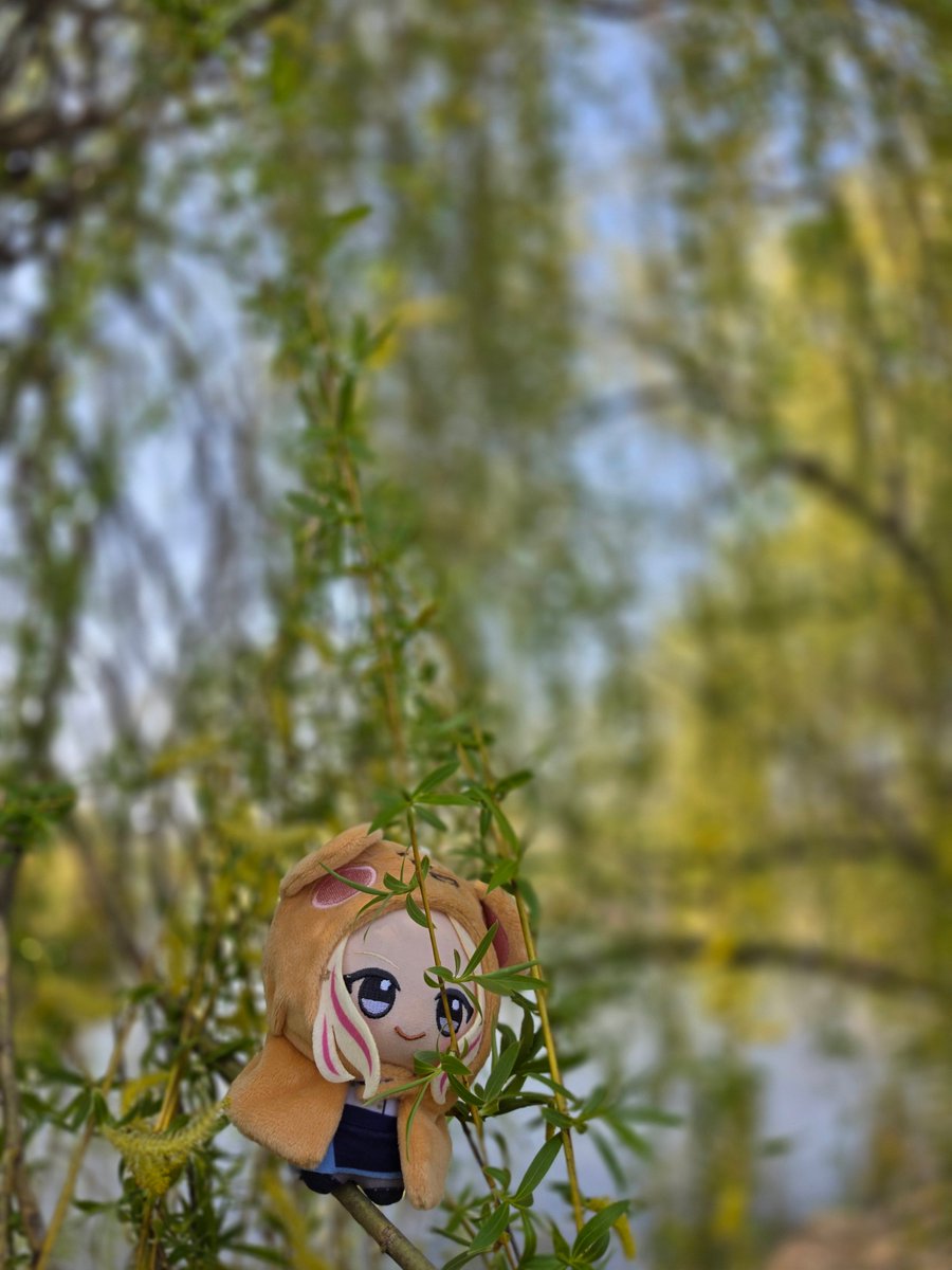 AengBorr（エンボル）@ストレイxr両日 tweet media