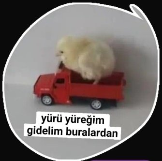 Buzlar kraliçesi ❄ tweet media