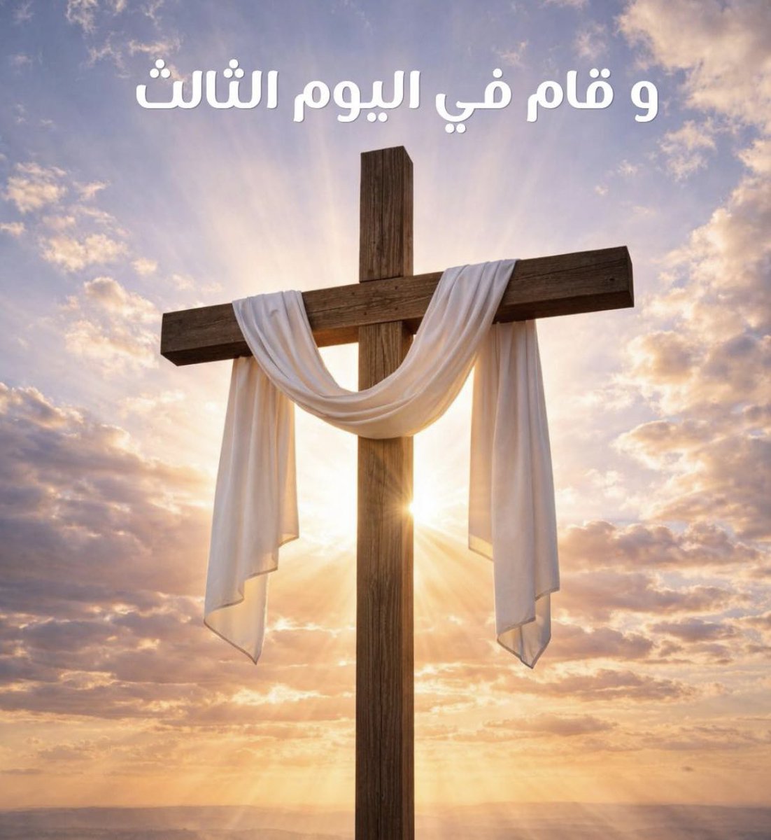 Jessy Abdo tweet media