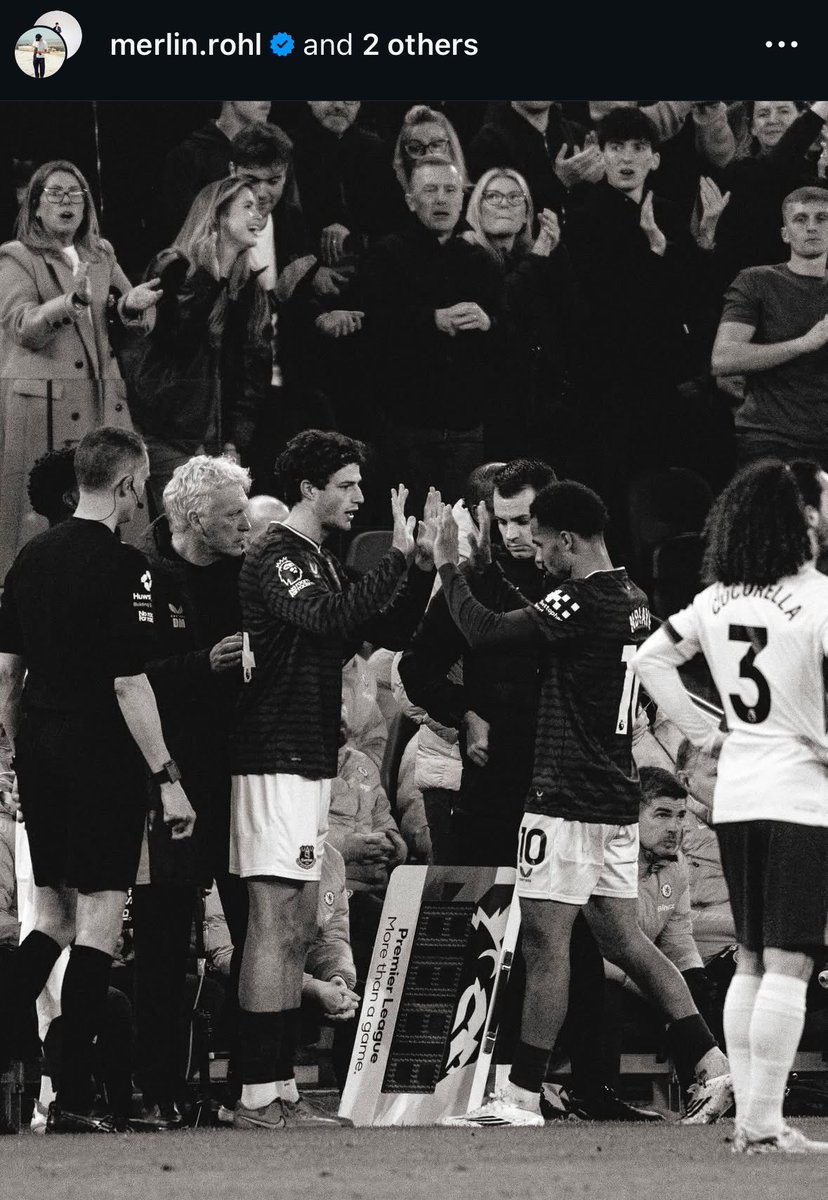 𝗧𝗵𝗲 𝗧𝗼𝗳𝗳𝗲𝗲 𝗕𝗹𝘂𝗲𝘀 tweet media