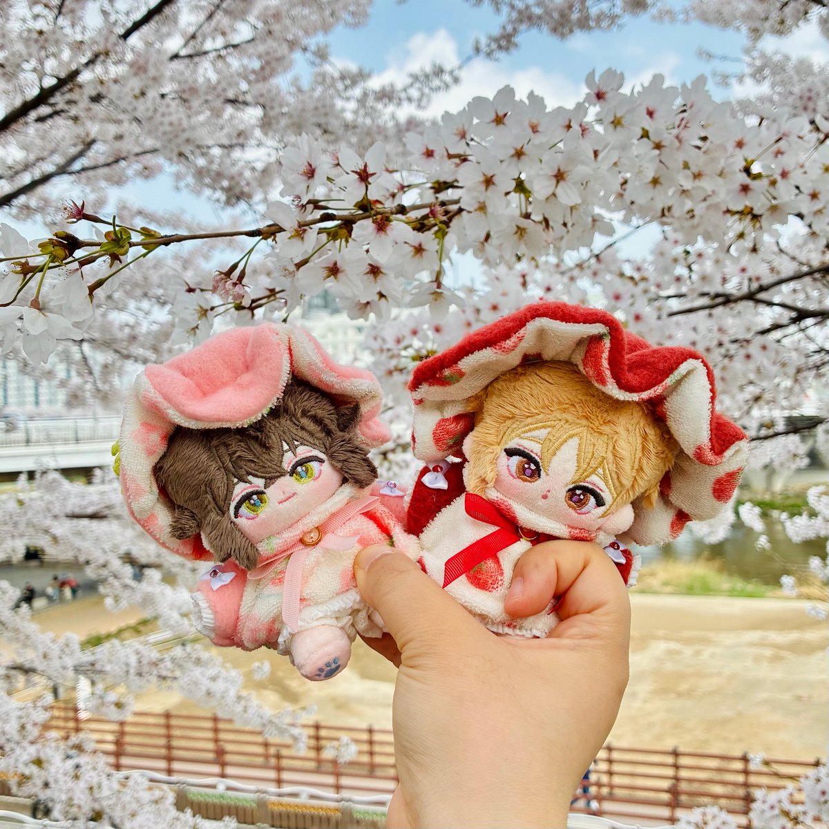 #베베인형공장 #베베와_벚꽃놀이를

코히 아가들도 벚꽃 봤어요옹~^<^