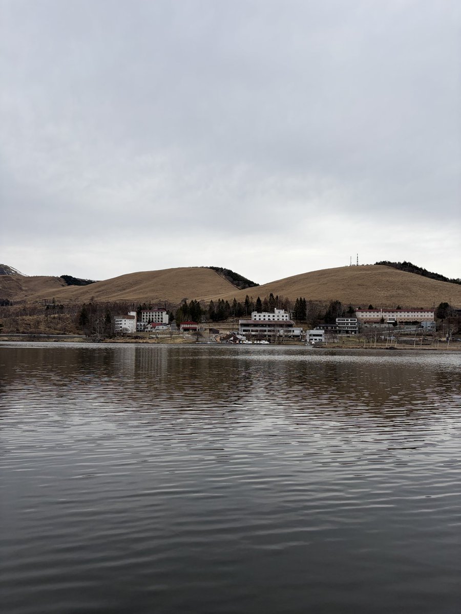 ぽるすけ tweet media