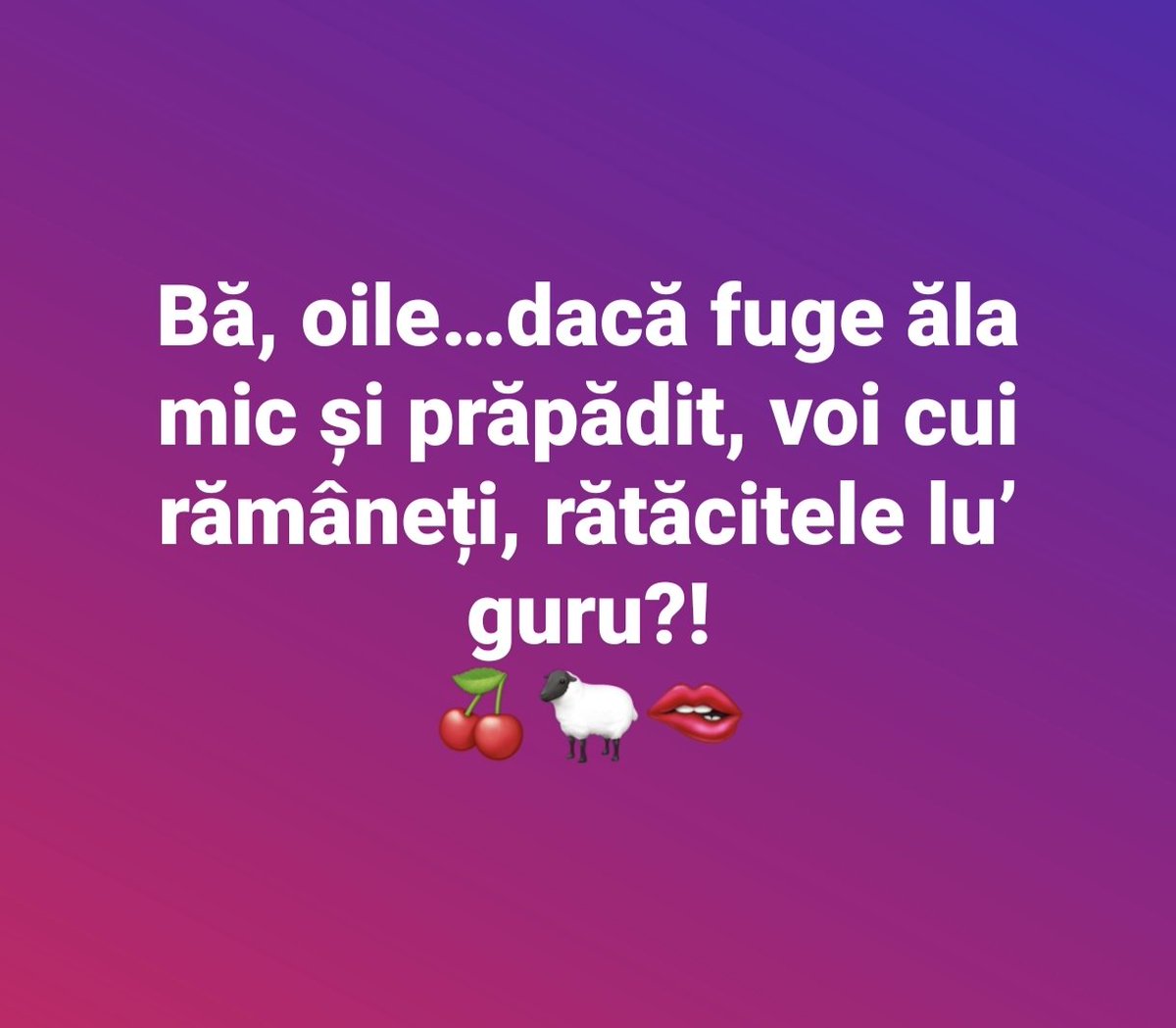 Mihail Feciorescu tweet media