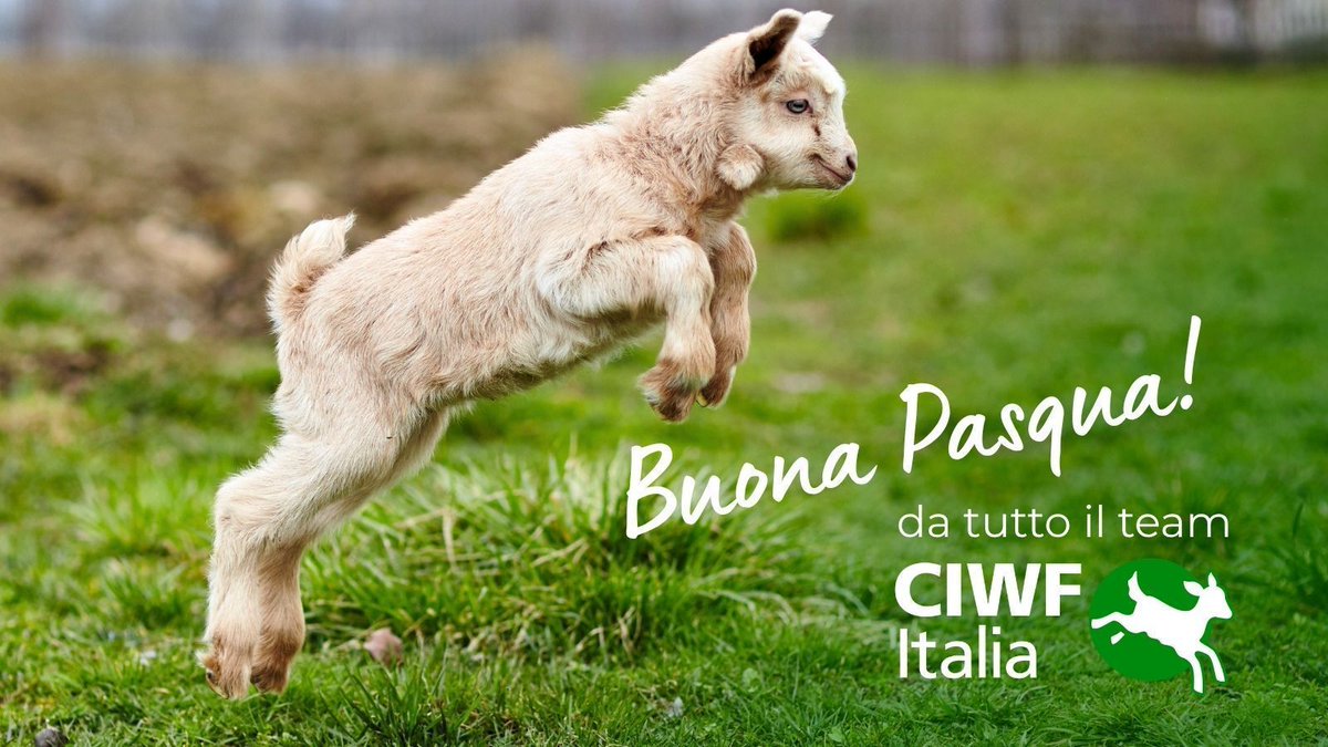 CIWF Italia tweet media