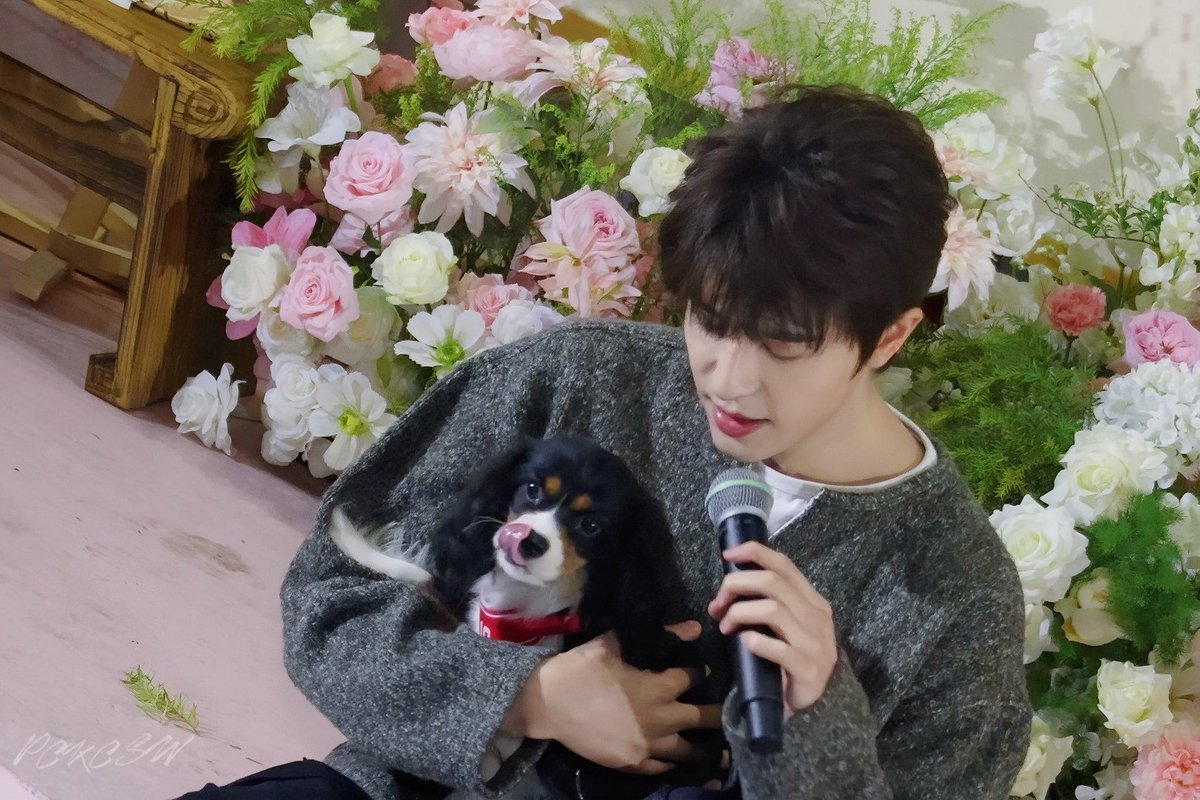 P2 (แอคหลักโดนระงับ🥹) tweet media