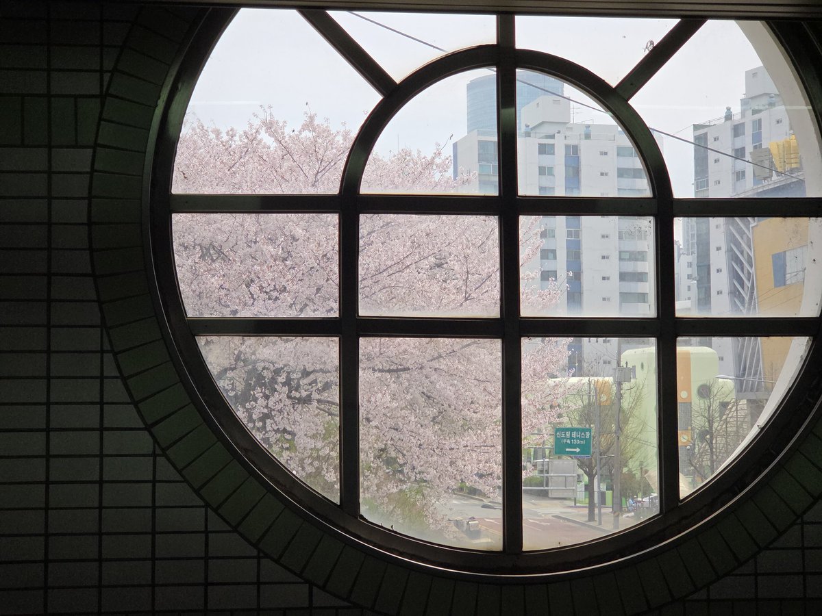 달래🌿 tweet media